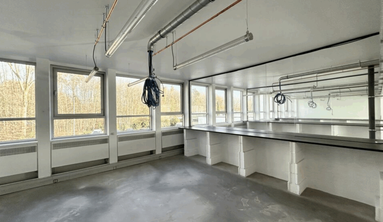 Capture d’écran 2025-11-19 à 11.00.01